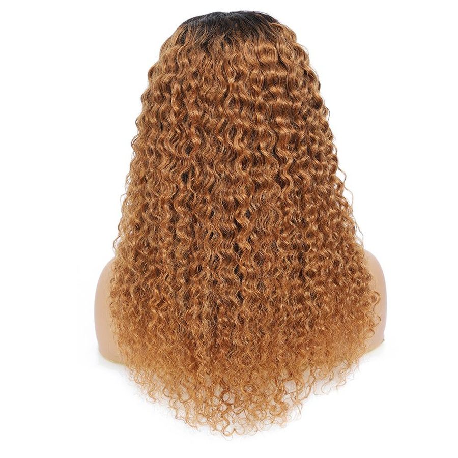 Human Hair Wigs